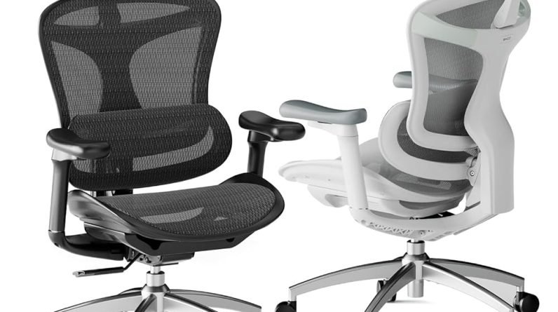 SIHOO Doro C300 Ergonomic Office Chair